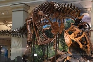 Tour guiado combinado do American History/Natural History Museum