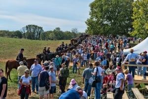 Antietam: Guided Battlefield Tour From Washington, DC