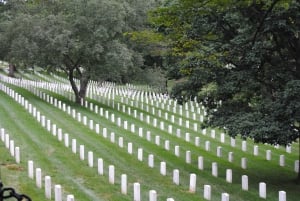 Arlington : Visite guidée à pied du cimetière privé d'Arlington