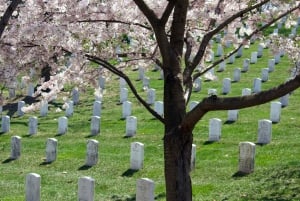 Arlington : Visite guidée à pied du cimetière privé d'Arlington