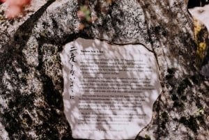 Bainbridge Island Discovery en Whisky Tour