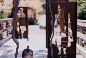 Bainbridge Island Discovery en Whisky Tour