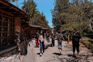 Bainbridge Island Discovery en Whisky Tour