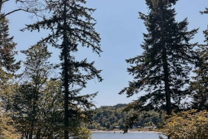 Bainbridge Island Discovery en Whisky Tour