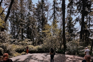 Bainbridge Island Discovery og vintur