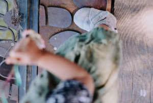 ベインブリッジ島ディスカバリーツアーへようこそ