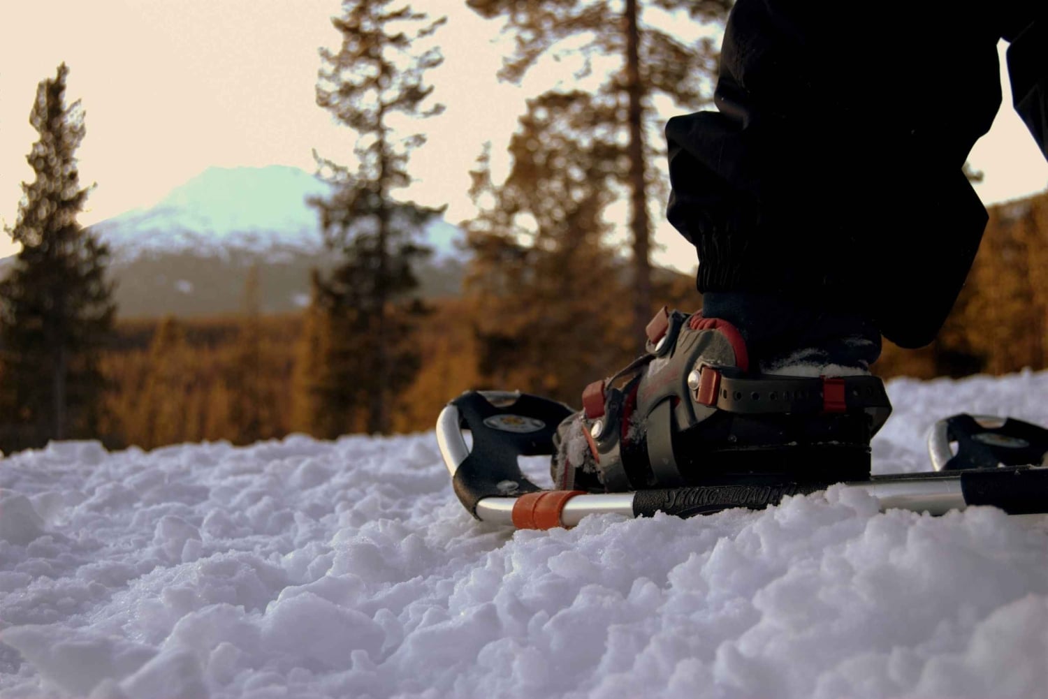 Bend: Półdniowa wycieczka na rakietach śnieżnych w paśmie Cascade Mountain Range