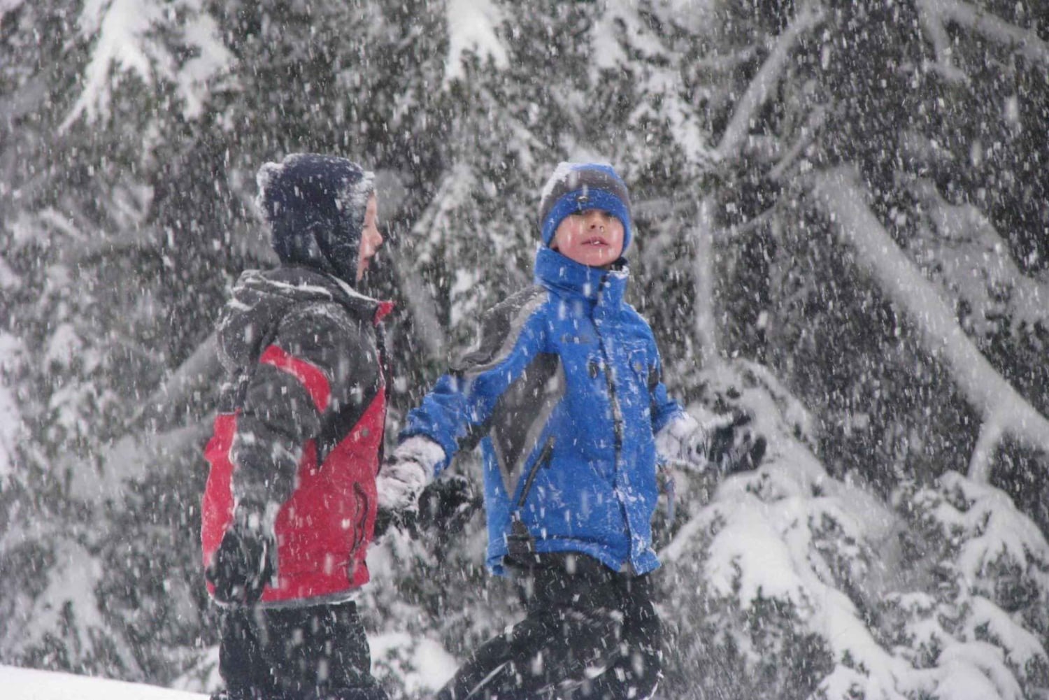 Bend: Półdniowa wycieczka na rakietach śnieżnych w paśmie Cascade Mountain Range