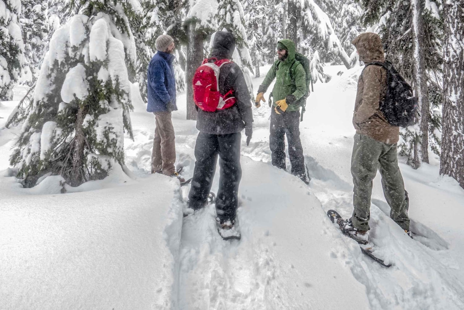 Bend: Półdniowa wycieczka na rakietach śnieżnych w paśmie Cascade Mountain Range