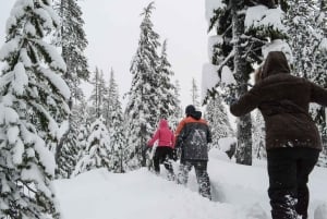 Bend: Półdniowa wycieczka na rakietach śnieżnych w paśmie Cascade Mountain Range