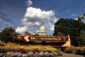 DC: Hop-on Hop-off, Arlington Walking Tour, and Night Tour