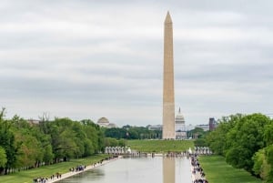 Best of Washington: Private Walking Tour with a Local