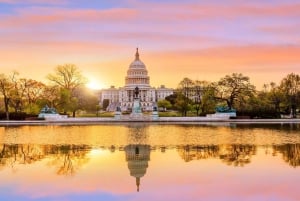 Best of Washington: Private Walking Tour with a Local