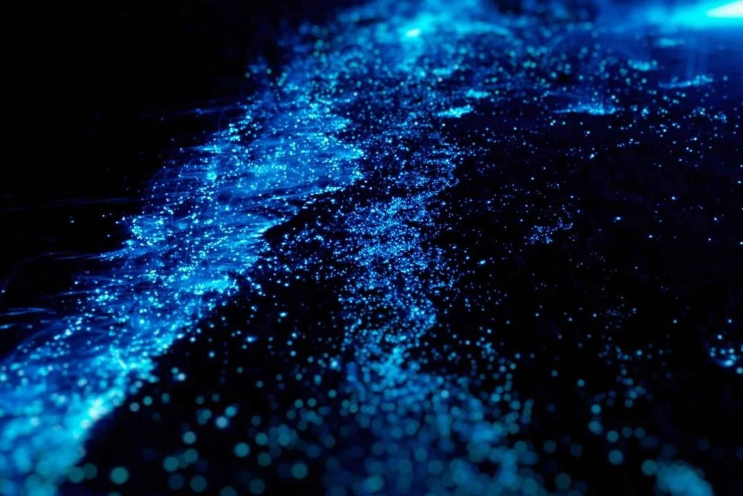 Bioluminescens-padletur om natten