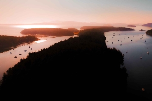 Bioluminescens-padletur om natten