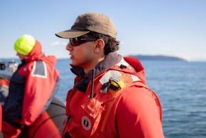 British Columbia: Hvalsafari økoeventyrtur