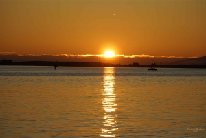 British Columbia: Hvalsafari økoeventyrtur