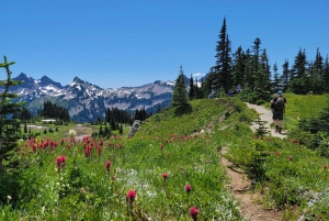 Excursão de acampamento de 7 dias pelos parques nacionais do Canadá saindo de Seattle