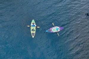 Cascade Locks: Columbia River Gorge Kayak Tour