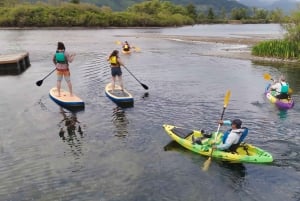 Cascade Locks: Columbia River Gorge Kayak Tour