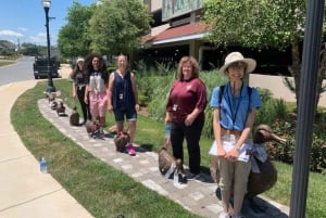 Chesapeake Beach: Tour guidato a piedi alle scogliere
