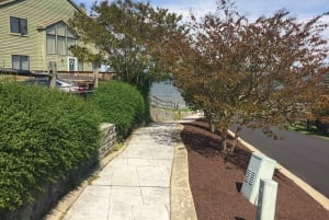 Chesapeake Beach: Tour guidato a piedi alle scogliere