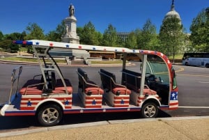 D.C: Monument och historia Guidad amerikansk minibussrundtur – dag och kväll