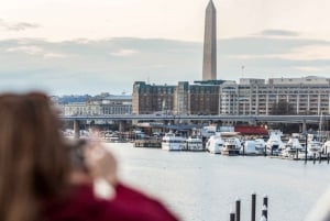 DC: City Cruises Buffet Brunch, Lunch, or Dinner Cruise