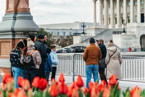 DC: Capitol Hill en Library of Congress Tour met Tickets