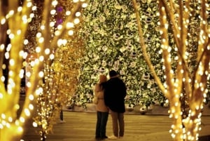 DC: Downtown Ultimate Holiday Walking Tour with Hot Cocoa