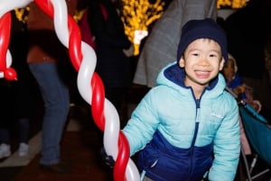 DC: Downtown Ultimate Holiday Walking Tour with Hot Cocoa
