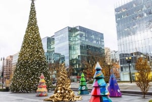 DC: Downtown Ultimate Holiday Walking Tour with Hot Cocoa
