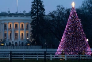 DC: Downtown Ultimate Holiday Walking Tour with Hot Cocoa