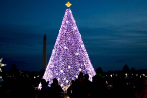 DC: Downtown Ultimate Holiday Walking Tour with Hot Cocoa