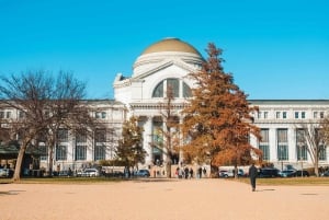 DC: Visita esencial al Smithsonian con entrada cronometrada de la NMAAHC