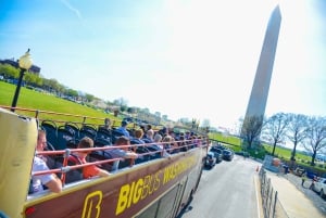 DC: Hop-on Hop-off Tour by Open-top Bus with 17 Stops