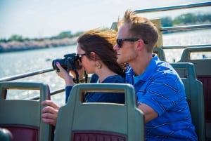 DC: Hop-on Hop-off Tour by Open-top Bus with 17 Stops