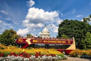 DC: Hop-on Hop-off Tour by Open-top Bus with 17 Stops