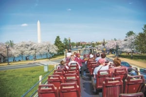 DC: Hop-on Hop-off, Arlington Walking Tour, and Night Tour