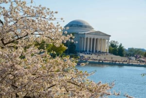 DC: Hop-on Hop-off, Arlington Walking Tour, and Night Tour