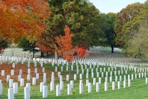 DC: Hop-On Hop-Off with 17 Stops plus Arlington Walking Tour