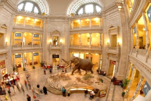DC:n museot ja eläintarhat -kävelykierros 3 päivän retki New Yorkista