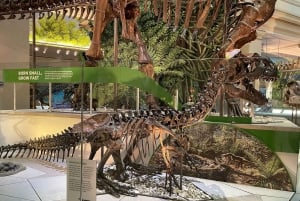 DC:n museot ja eläintarhat -kävelykierros 3 päivän retki New Yorkista