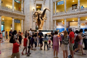 DC:n museot ja eläintarhat -kävelykierros 3 päivän retki New Yorkista