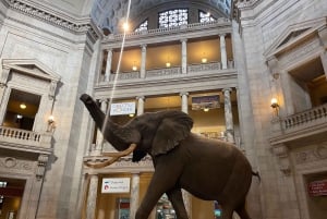 DC: Smithsonian Highlights -kävelykierros ilma- ja avaruusalalla
