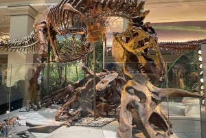 DC: Smithsonian Highlights -kävelykierros ilma- ja avaruusalalla