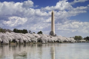 DC: Rundvisning med adgang til U.S. Capitol Ground Access