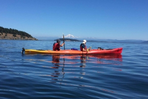 Eastsound: Opastettu Sucia Island -kajakkiretki ja päiväretki