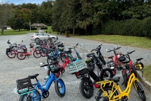 Electric Bike Rentals Leesburg, VA: Full Day or Half Day