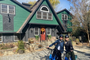Electric Bike Rentals Leesburg, VA: Full Day or Half Day